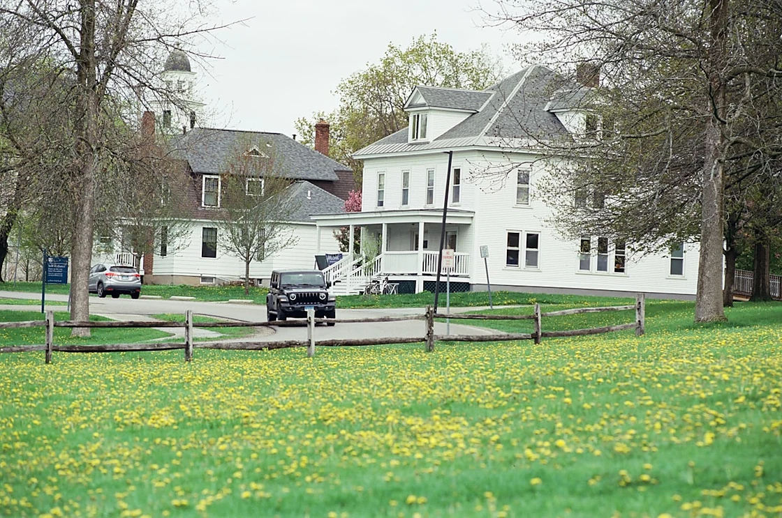 White houses along a quiet suburban street in spring